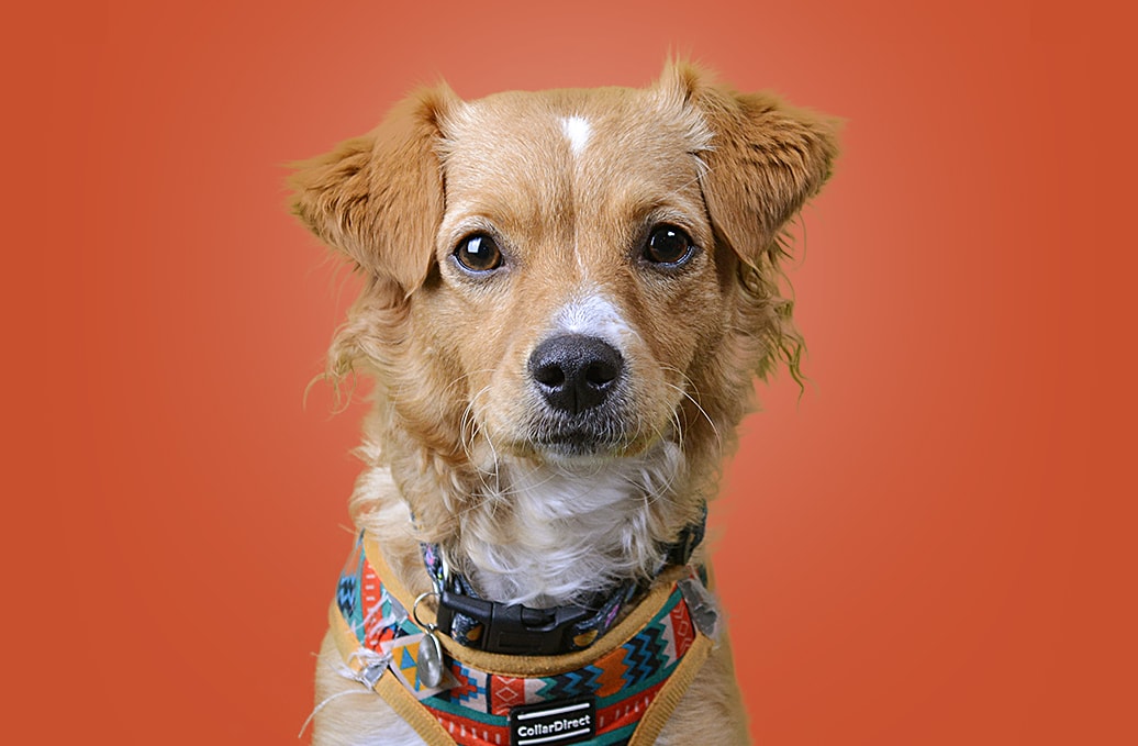 Image_2_Slider